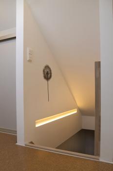 Preview: Radial R10 F Fläche 20 mm/12,5